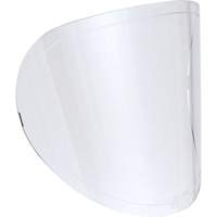 Replacement Lenses Canadian Safety Group Inc.