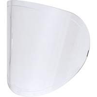 Replacement Lenses Canadian Safety Group Inc.