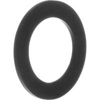 Replacement Gaskets for Inhalation Valves Canadian Safety Group Inc.