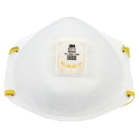 Disposable Respirators