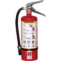 Extincteur d'incendie, ABC, Capacit&eacute; 5 lb Canadian Safety Group Inc.