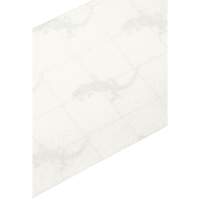 Premium Anti-Skid Tape, 4" x 60', Clear Canadian Safety Group Inc.