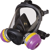 Respirateur &agrave; masque complet de s&eacute;rie RU6500 de North, Silicone, Petit Canadian Safety Group Inc.