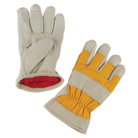 Gants de travail doubl&eacute;s pour l'hiver de premi&egrave;re qualit&eacute;, Moyen, Paume en Cuir fleur de porc, Doublure en Molleton de mousse Canadian Safety Group Inc.