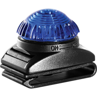 Guardian Warning Light, Continuous/Flashing, Blue Canadian Safety Group Inc.