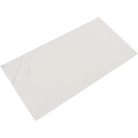 Tapis pelables de rechange pour salle blanche, &eacute;paisseur 1,57 mils, 2' la, 3' lo x Blanc Canadian Safety Group Inc.