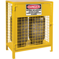 Gas Cylinder Cabinets, 2 Cylinder Capacity, 30" W x 17" D x 37" H, Yellow Canadian Safety Group Inc.