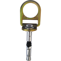 PRO Concrete D-ring Anchor with Bolt, Concrete/D-Ring, Permanent Use Canadian Safety Group Inc.