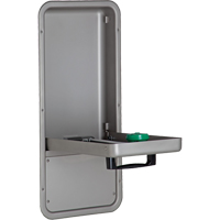 Eye/Face Wash Station, Wall-Mount Installation, Stainless Steel Bowl Canadian Safety Group Inc.