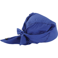Foulards de refroidissement en triangle Chill-Its 6710CT, Bleu Canadian Safety Group Inc.