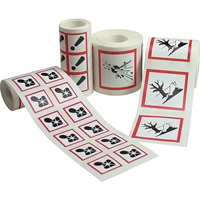 GHS Pictogram Labels, Vinyl, Roll, 4" L x 4" W Canadian Safety Group Inc.