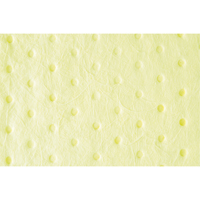 Feuilles absorbantes li&eacute;es de premi&egrave;re qualit&eacute;, Mati&egrave;res dangereuses, 15" x 18", 30 gal. d'absorption Canadian Safety Group Inc.