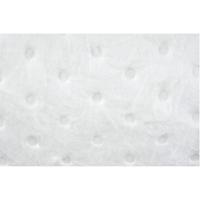 Absorbants &agrave; usages multiples, 50' lo x 5" la, Absorption 10 gal. Canadian Safety Group Inc.