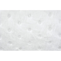Absorbants &agrave; usages multiples, 50' lo x 5" la, Absorption 10 gal. Canadian Safety Group Inc.