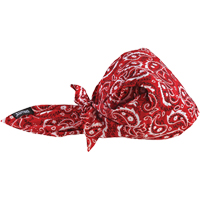 Bandeaux en triangle 6710CT de refroidissement en tissu de serviette Chill-Its, Rouge Canadian Safety Group Inc.