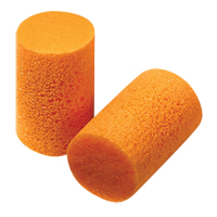 Howard Leight FirmFit Disposable Earplugs, Bulk - B Canadian Safety Group Inc.