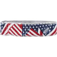 Chill-Its 6605 Cooling Headbands, Multi-Colour Canadian Safety Group Inc.