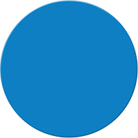 Armor Stripe Lean/5S Markers, Circle, 6" L x 6" W, Blue, Plastic Canadian Safety Group Inc.
