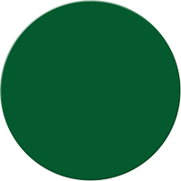 Armor Stripe Lean/5S Markers, Circle, 6" L x 6" W, Green, Plastic Canadian Safety Group Inc.