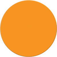 Armor Stripe Lean/5S Markers, Circle, 6" L x 6" W, Orange, Plastic Canadian Safety Group Inc.