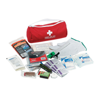 Dynamic Car First Aid Kit, Class 1 Medical Device, Nylon Bag Canadian Safety Group Inc.