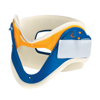 Dynamic Collar Canadian Safety Group Inc.