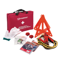 Dynamic Extreme Road Hazard First Aid Kit, Class 1 Medical Device, Nylon Bag Canadian Safety Group Inc.