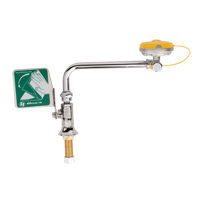 Eye/Face Wash Station, Sink Mount Installation Canadian Safety Group Inc.