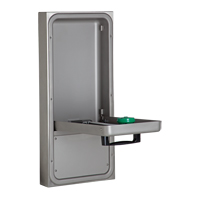 Eye/Face Wash Station, Wall-Mount Installation Canadian Safety Group Inc.