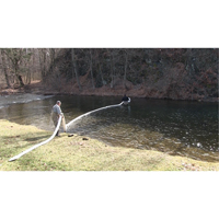 SpillBoa Bale, Oil Only, 25' L x 5" W, 28 gal. Absorbancy, 4 /Pack Canadian Safety Group Inc.