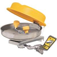 Eyewash Station, Wall-Mount Installation, Stainless Steel Bowl Canadian Safety Group Inc.