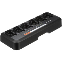 Multi-Unit Charger Canadian Safety Group Inc.