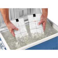 Sachets pour veste de refroidissement &agrave; changement de phase 6260 Chill-Its Canadian Safety Group Inc.