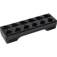 DLR Series Business Radio Multi-Unit Battery Charger Canadian Safety Group Inc.