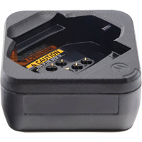 DTR Series Business Radio Battery Charger Canadian Safety Group Inc.