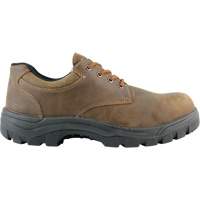 Warrior Work Shoes, Size 13, Steel Toe, Puncture Resistant Sole, Leather Canadian Safety Group Inc.