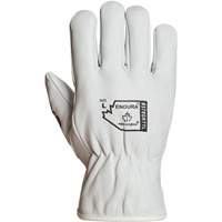 Endura&reg; Winter-Lined Driver Gloves, X-Large, Grain Goatskin Palm, Thinsulate Inner Lining Canadian Safety Group Inc.