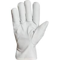 Endura&reg; Winter-Lined Driver Gloves, X-Large, Grain Goatskin Palm, Thinsulate Inner Lining Canadian Safety Group Inc.