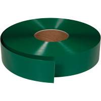 ArmorStripe&reg; Ultra Durable Floor Tape, 2" x 100', PVC, Green Canadian Safety Group Inc.