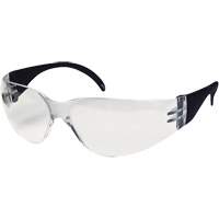 CeeTec Safety Glasses, Clear Lens, Anti-Fog/Anti-Scratch, Meets/Exceeds CSA Z94.3 Canadian Safety Group Inc.