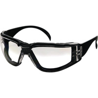 CeeTec DX Safety Glasses, Clear Lens, Anti-Fog/Anti-Scratch, Meets/Exceeds CSA Z94.3 Canadian Safety Group Inc.