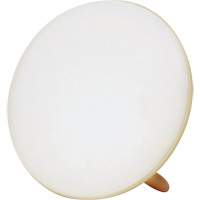 Jumbo Therapy Light for Seasonal Affective Disorder Canadian Safety Group Inc.