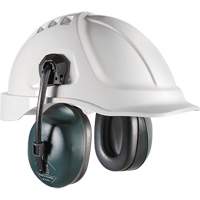 Earmuffs