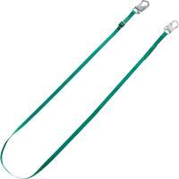 Longe de retenue Tieback V-Series, 10' Canadian Safety Group Inc.