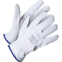 Delta Force Driver's Glove, 9/Large, Grain Goatskin Palm, Kevlar&reg; Inner Lining Canadian Safety Group Inc.