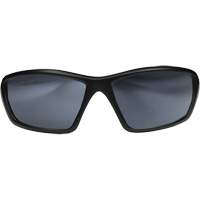 Robson Safety Glasses with Gasket, Silver Mirror Lens, Anti-Scratch/Polarized, ANSI Z87+/MCEPS GL-PD 10-12/Meets/Exceeds CSA Z94.3 Canadian Safety Group Inc.