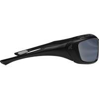 Robson Safety Glasses with Gasket, Silver Mirror Lens, Anti-Scratch/Polarized, ANSI Z87+/MCEPS GL-PD 10-12/Meets/Exceeds CSA Z94.3 Canadian Safety Group Inc.