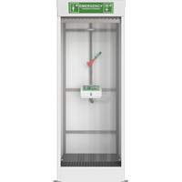 Cabine de douche d'urgence et douche oculaire/faciale couvert Canadian Safety Group Inc.