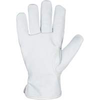 Endura&reg; 378WGKTFG Arc Flash-Rated Gloves, Grain Goatskin, Size X-Small Canadian Safety Group Inc.