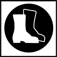&eacute;tiquettes avec pictogramme Right to Know - Bottes, Vinyle, Feuille, 5/8" lo x 3/4" la Canadian Safety Group Inc.